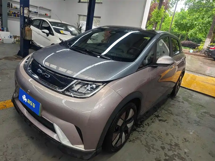 BYD Dolphin 2022