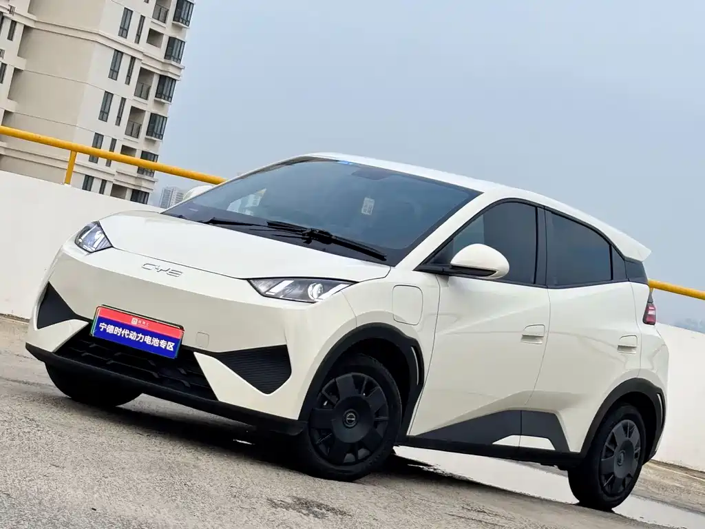 BYD Seagull 2025