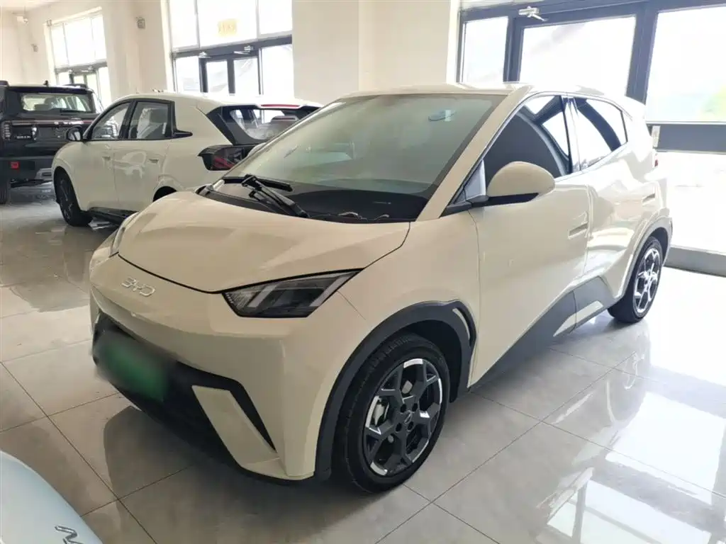BYD Seagull 2024