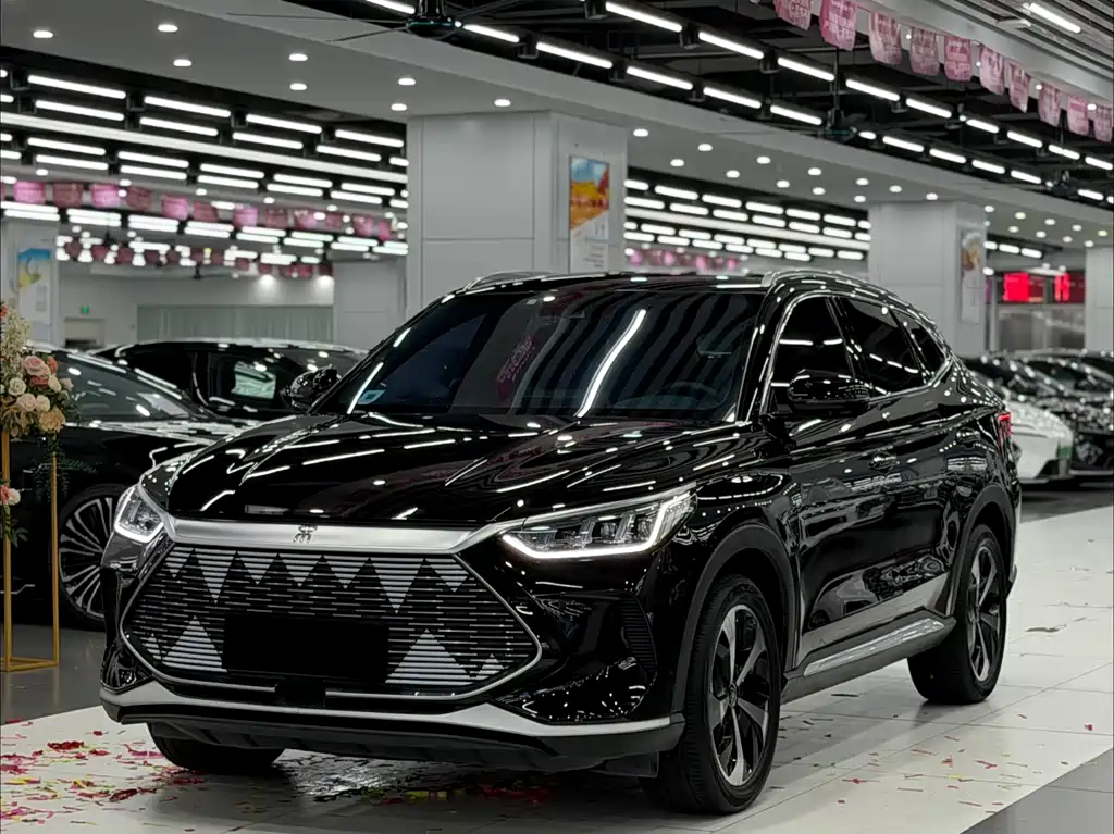 BYD PLUS New Energy 2021