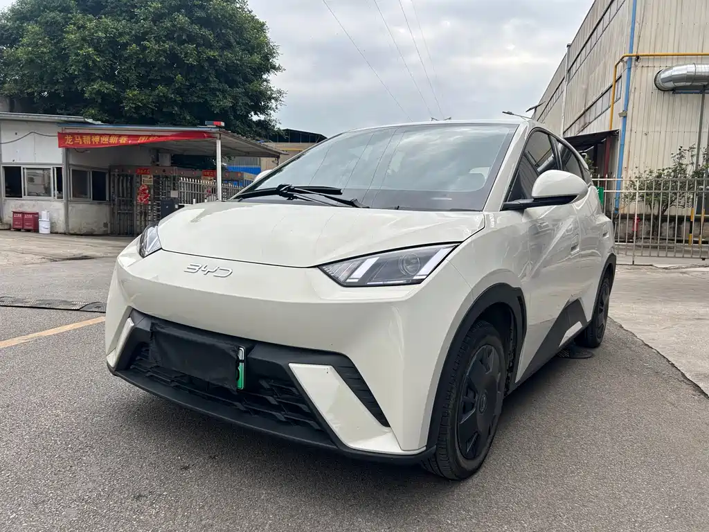 BYD Seagull 2024