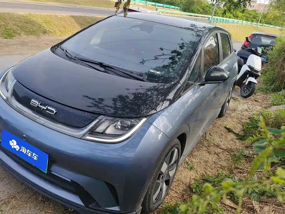 BYD Dolphin 2024