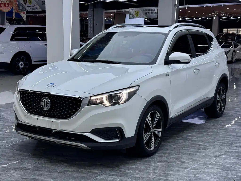 MG EZS 2019