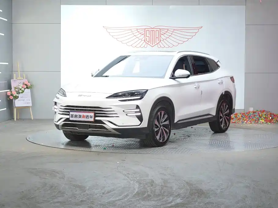 BYD PLUS New Energy 2023
