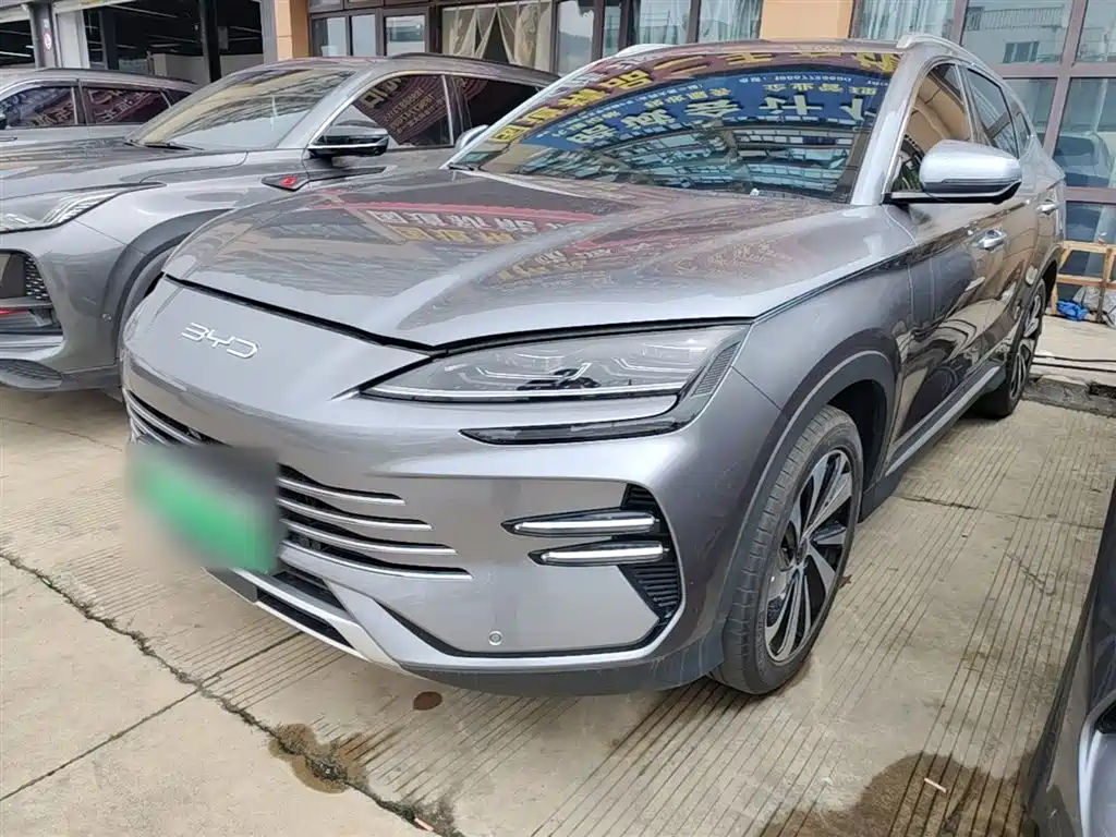 BYD PLUS New Energy 2024