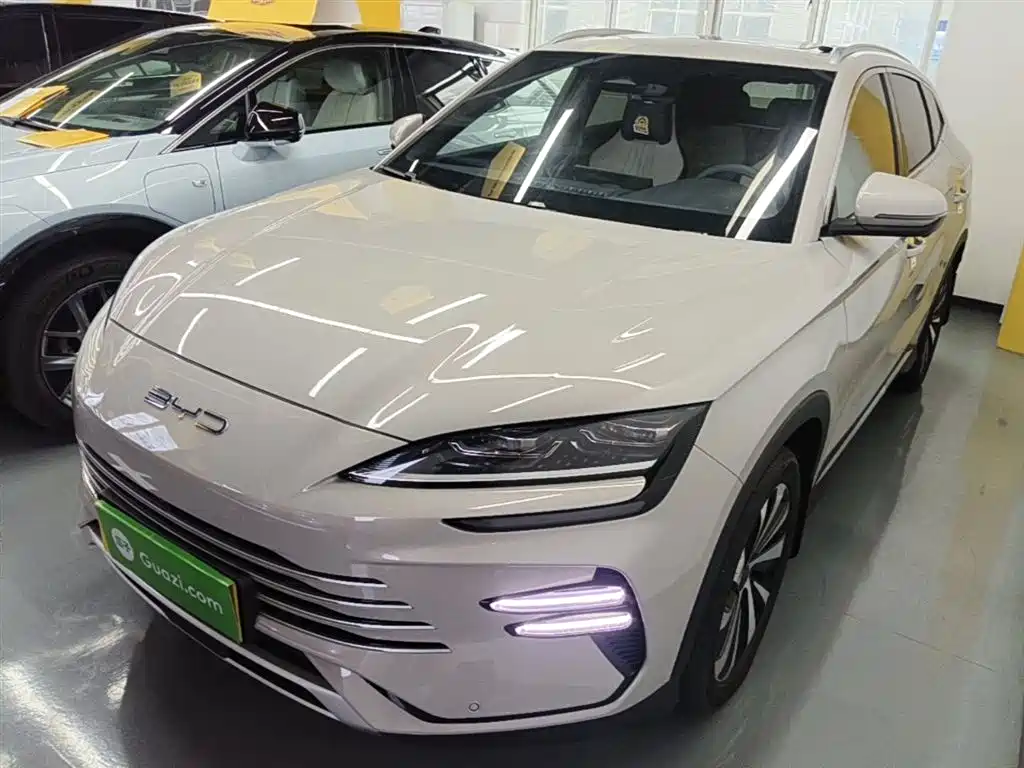 BYD PLUS New Energy 2024