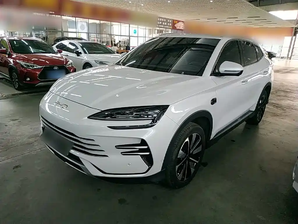 BYD PLUS New Energy 2025