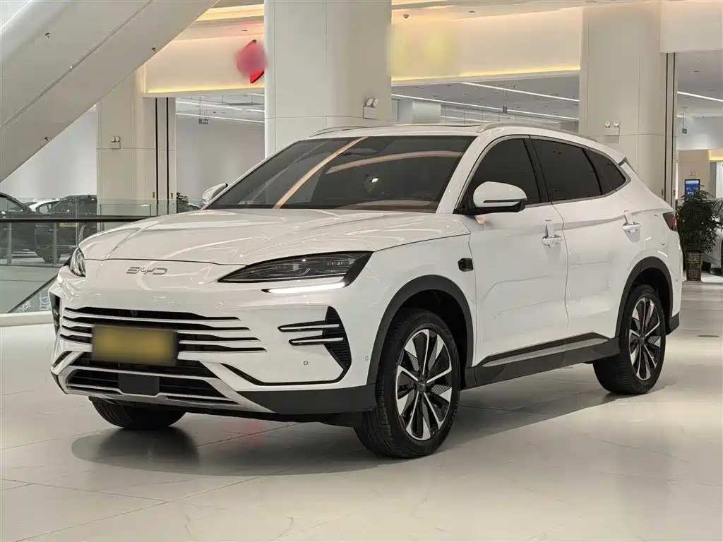 BYD PLUS New Energy 2025