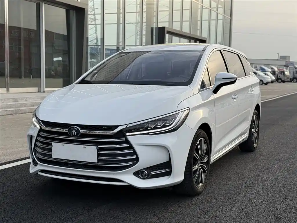 BYD MAX New Energy 2019