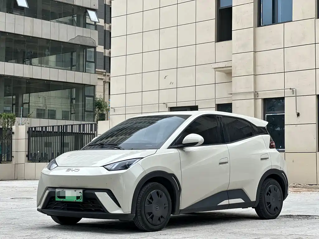 BYD Seagull 2024