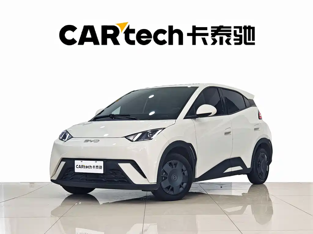 BYD Seagull 2024