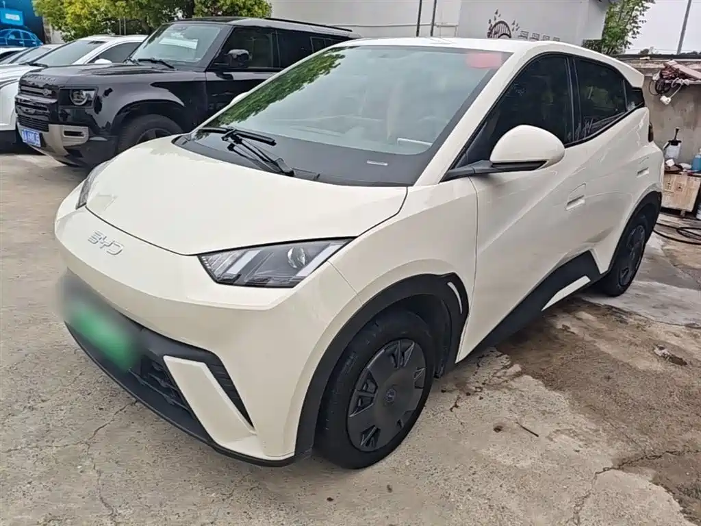 BYD Seagull 2024