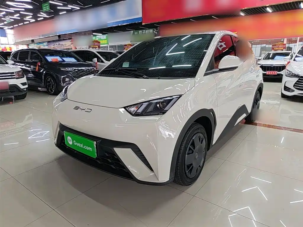 BYD Seagull 2024