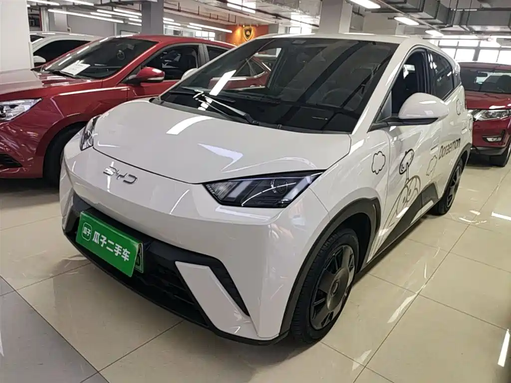 BYD Seagull 2024
