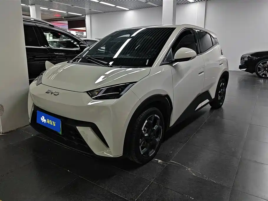 BYD Seagull 2025