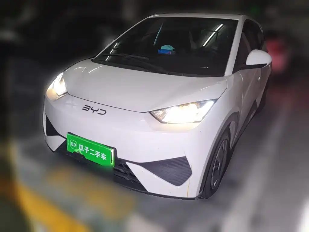BYD Seagull 2025