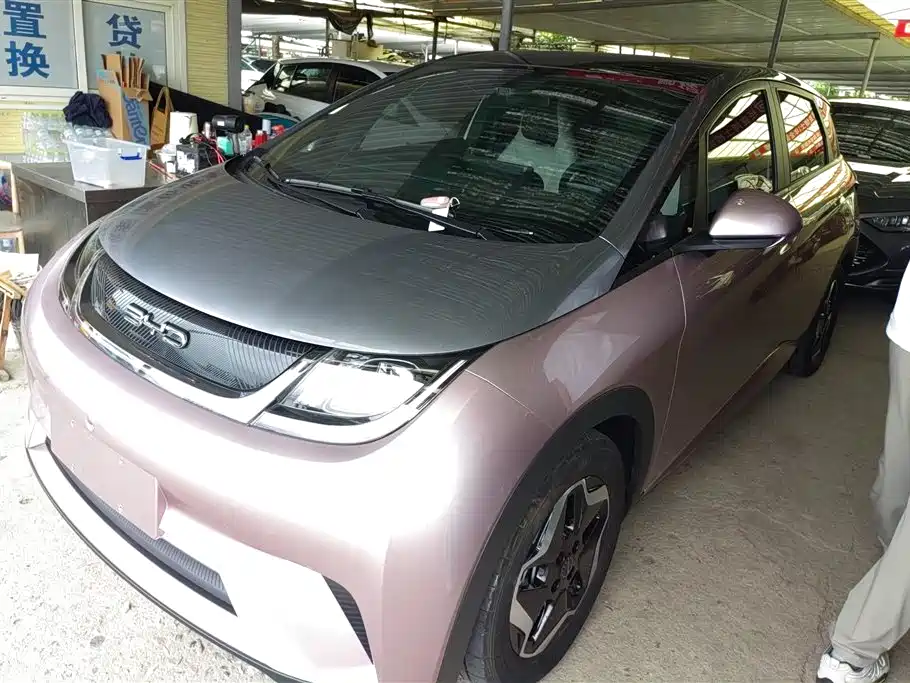 BYD Dolphin 2022