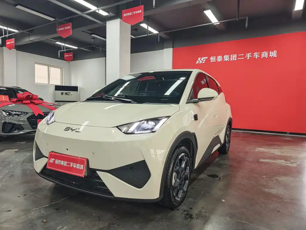BYD Seagull 2025