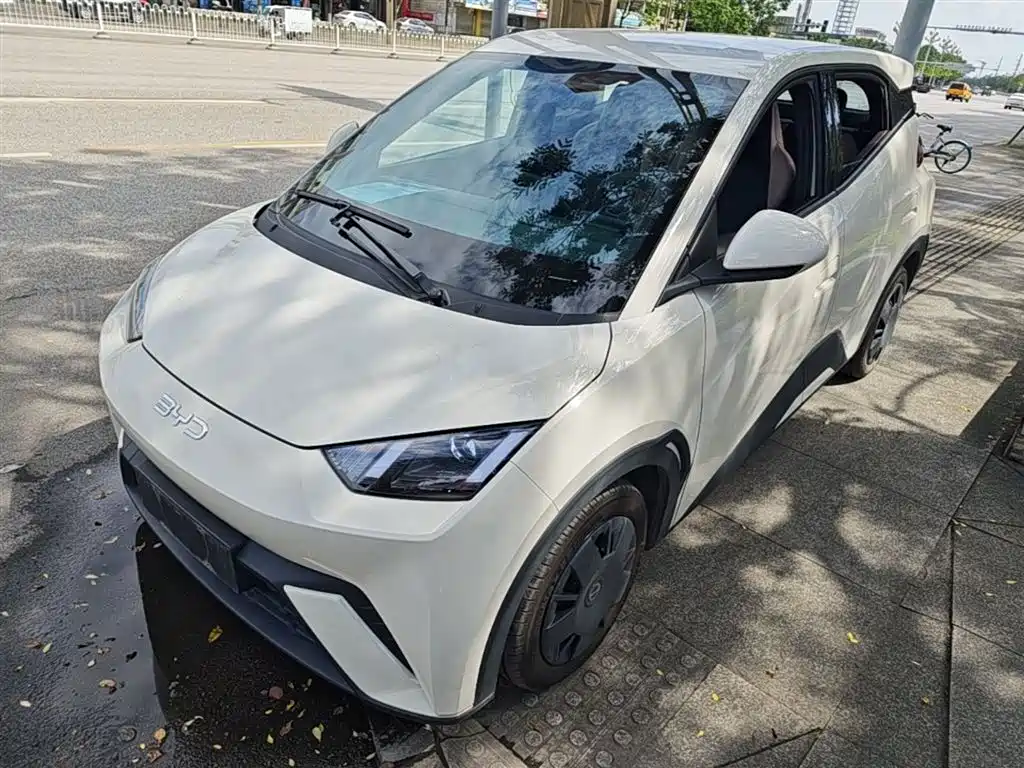 BYD Seagull 2024