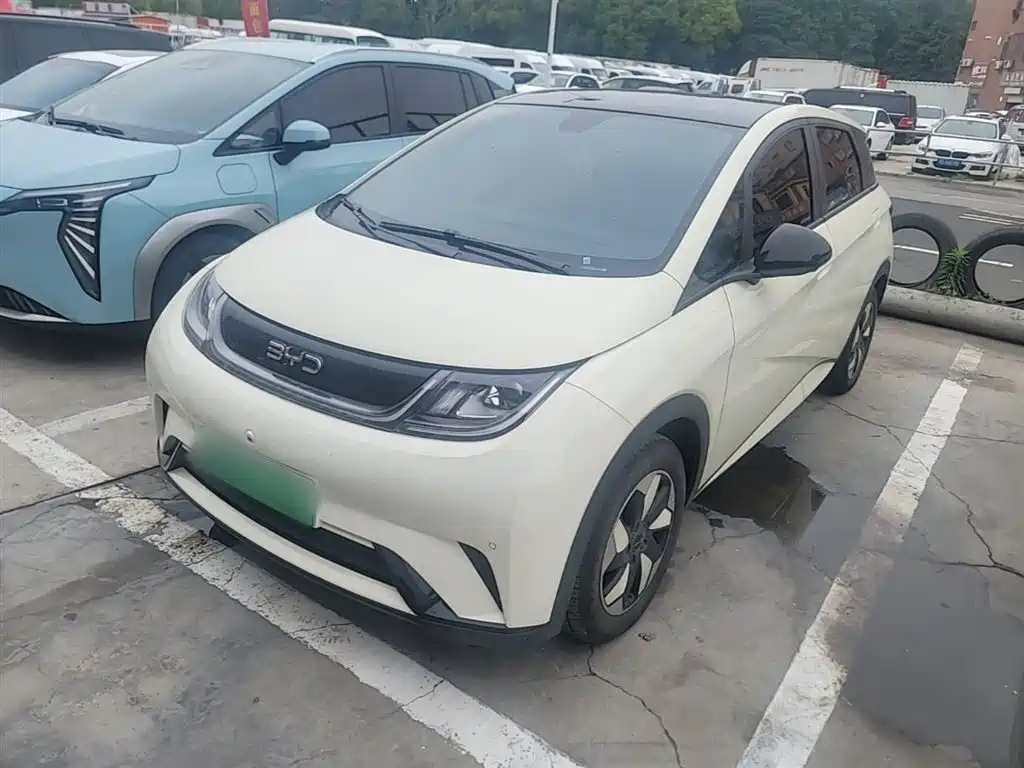 BYD Dolphin 2024