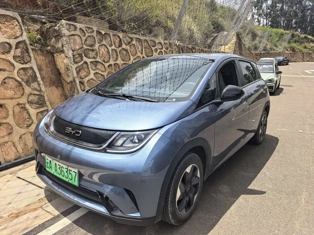 BYD Dolphin 2025