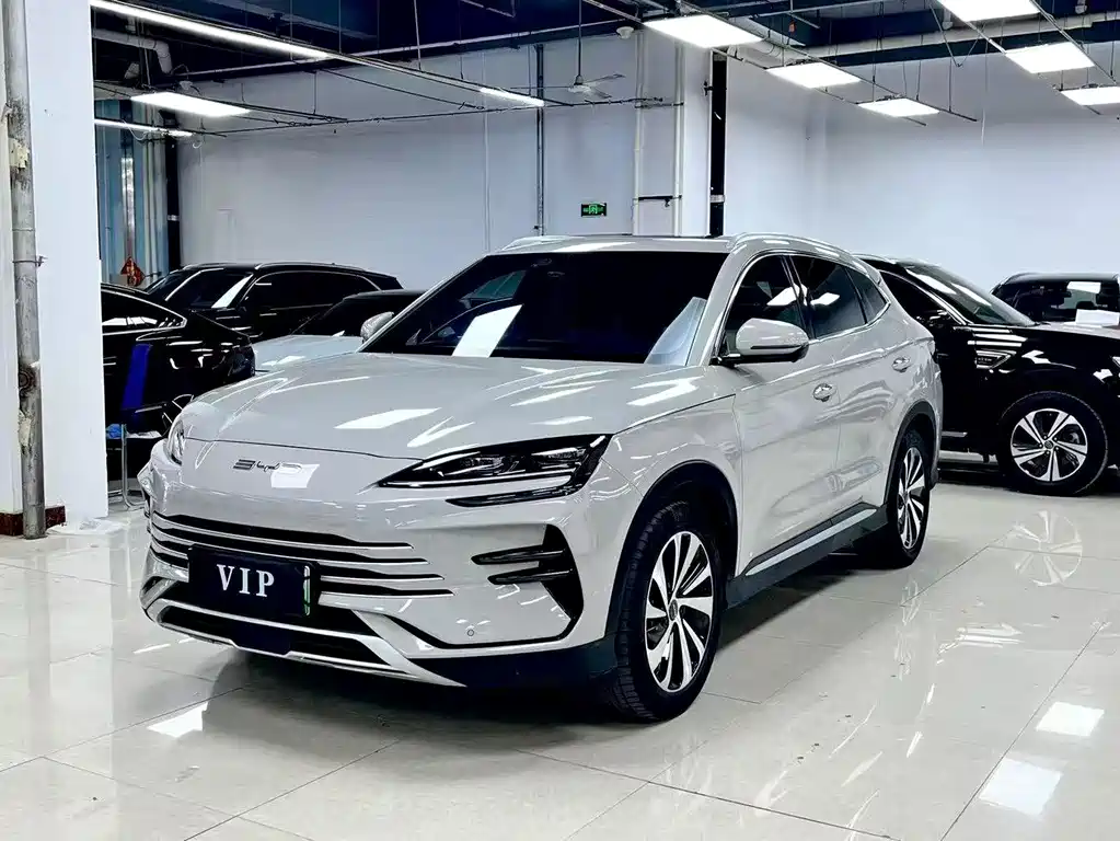 BYD PLUS New Energy 2024