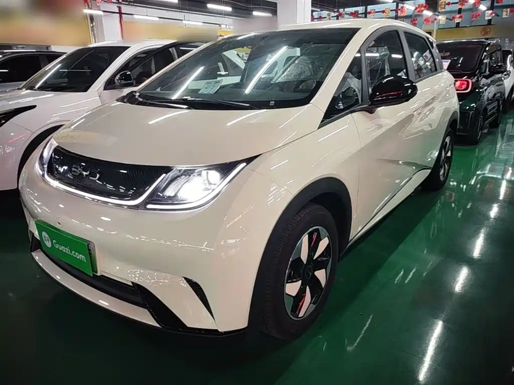 BYD Dolphin 2026