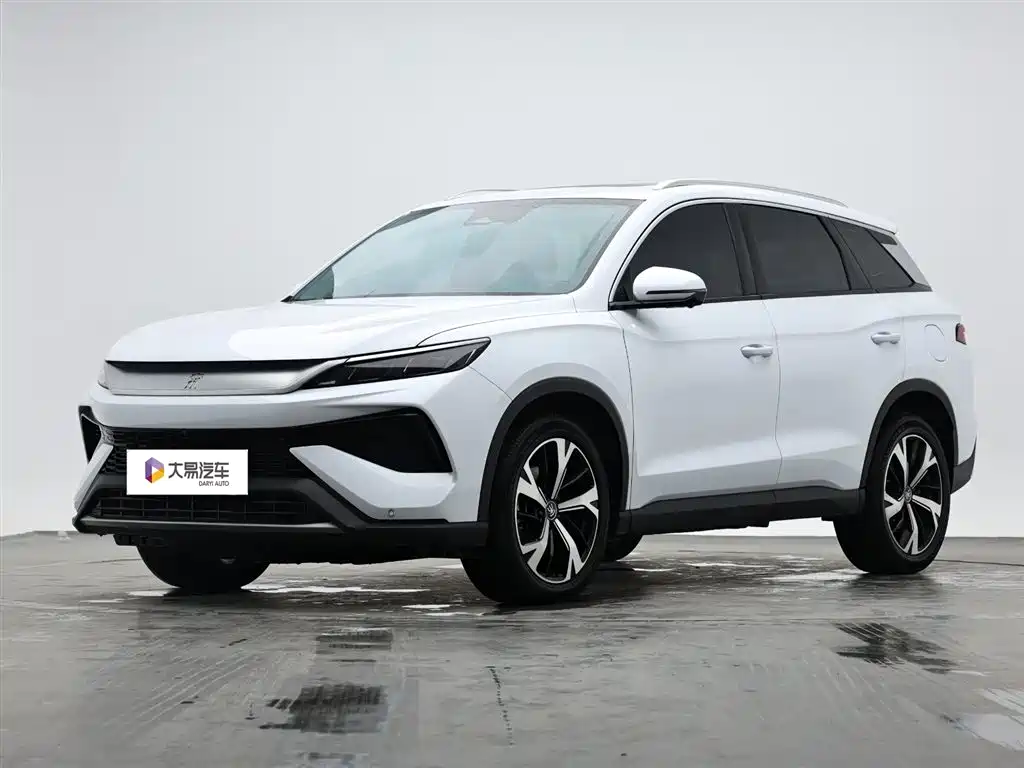 BYD Pro New Energy 2024