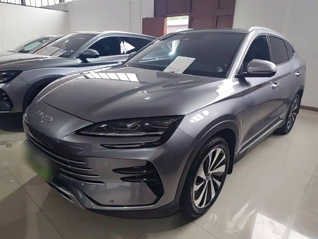 BYD PLUS New Energy 2024