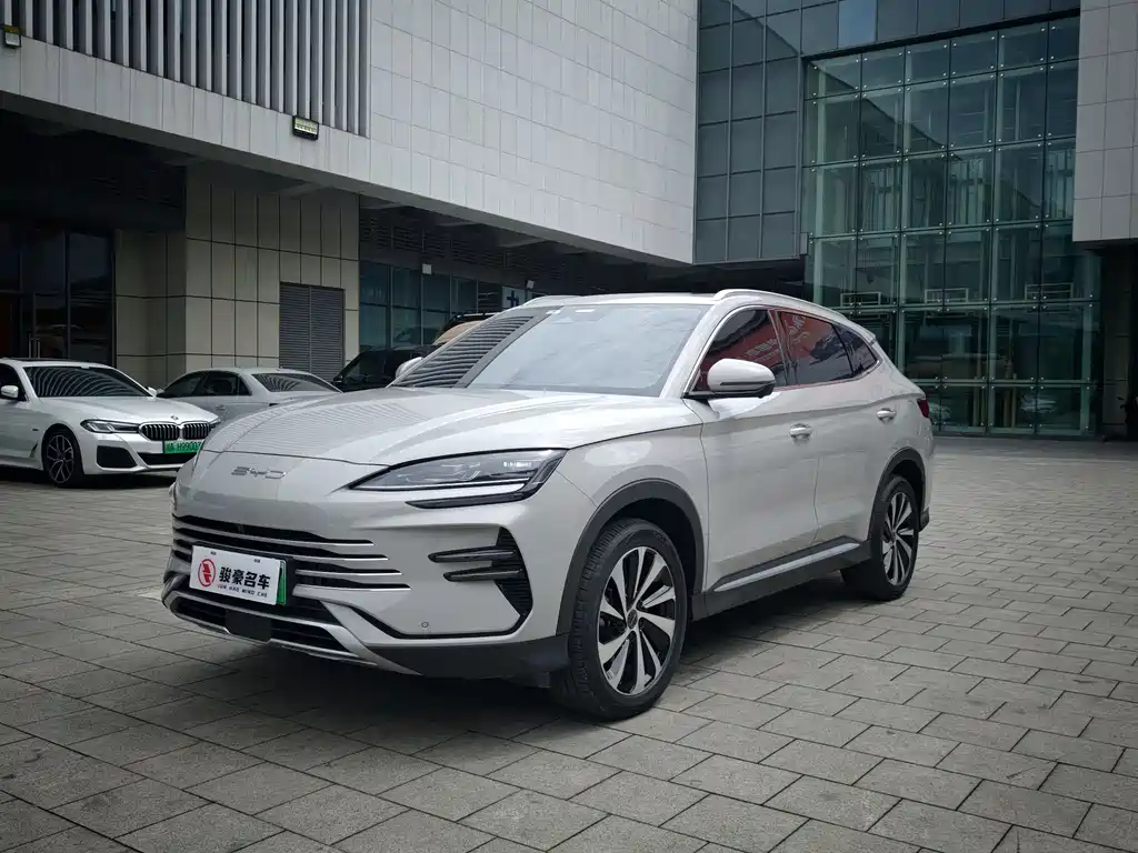 BYD PLUS New Energy 2024