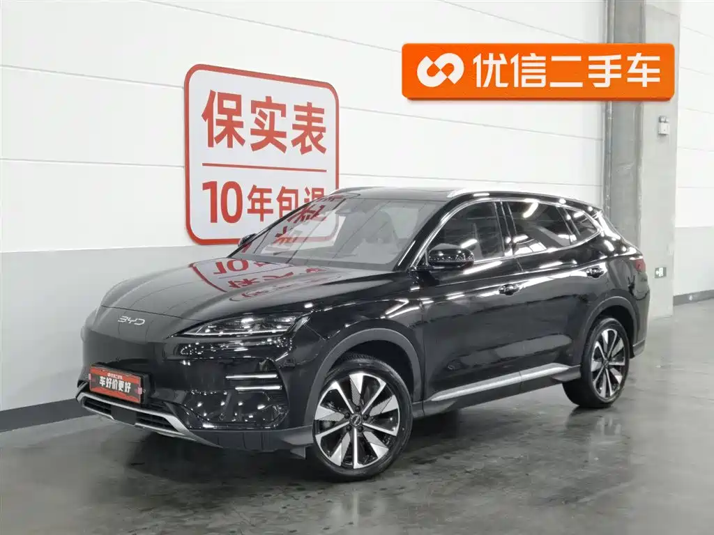 BYD PLUS New Energy 2025