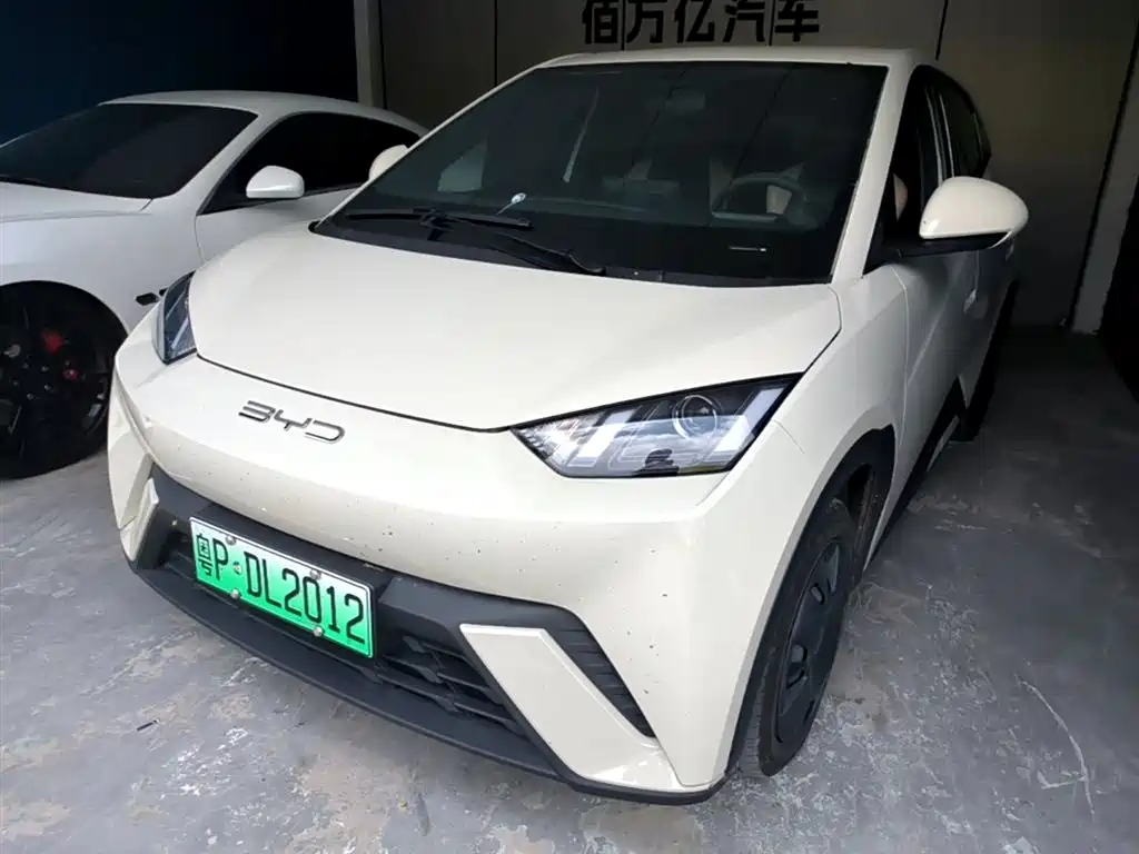 BYD Seagull 2024