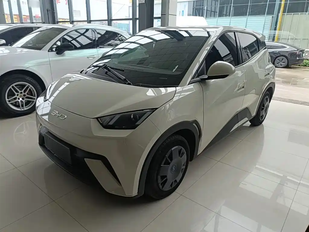 BYD Seagull 2024