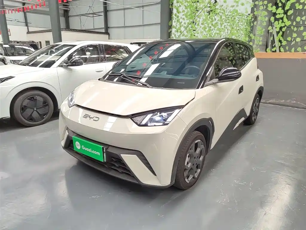 BYD Seagull 2024