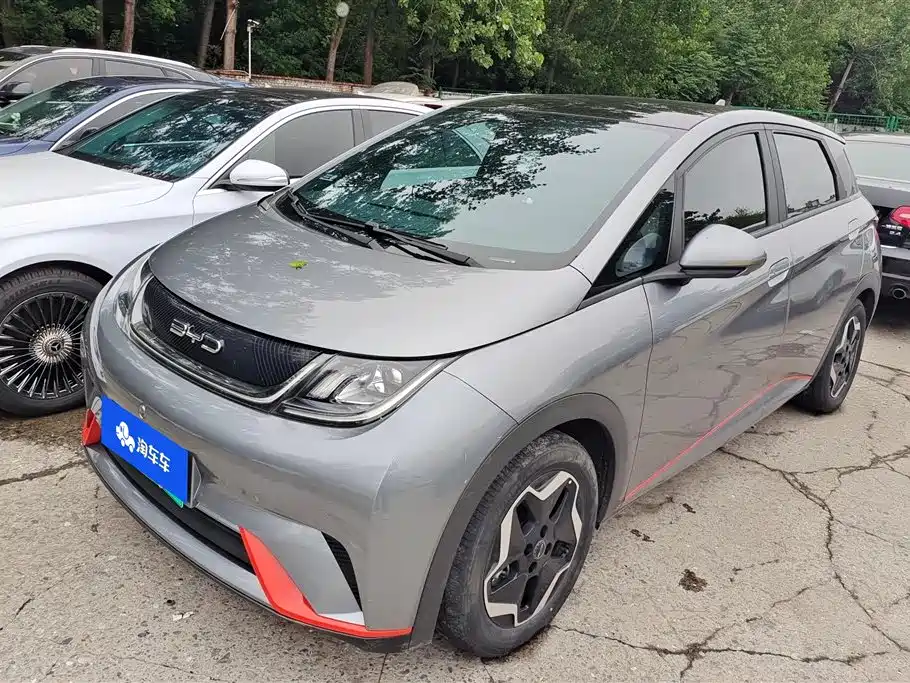 BYD Dolphin 2022