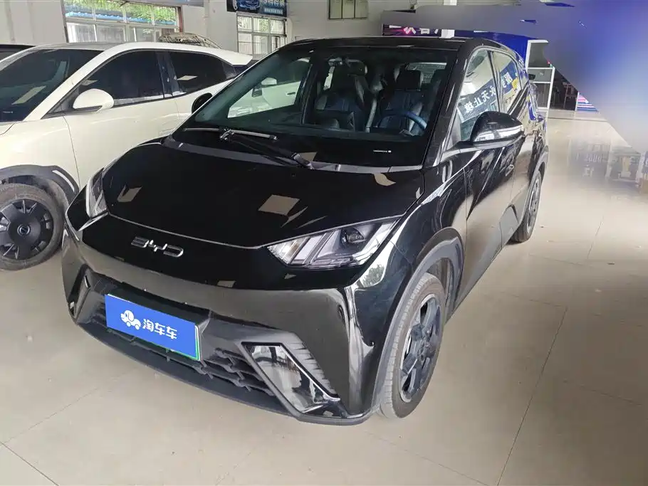 BYD Seagull 2024