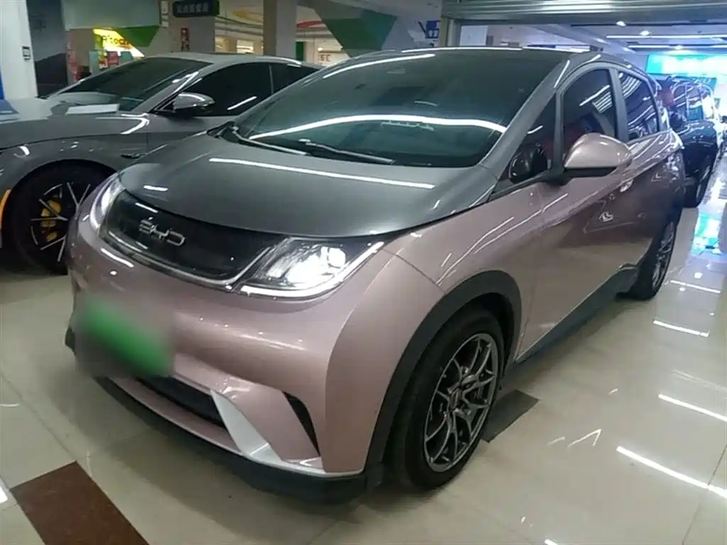 BYD Dolphin 2021