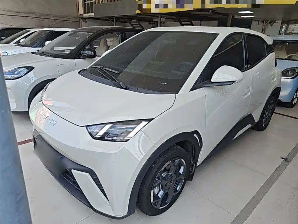 BYD Seagull 2024