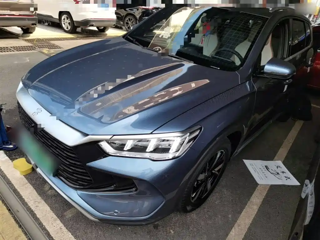 BYD Pro New Energy 2024