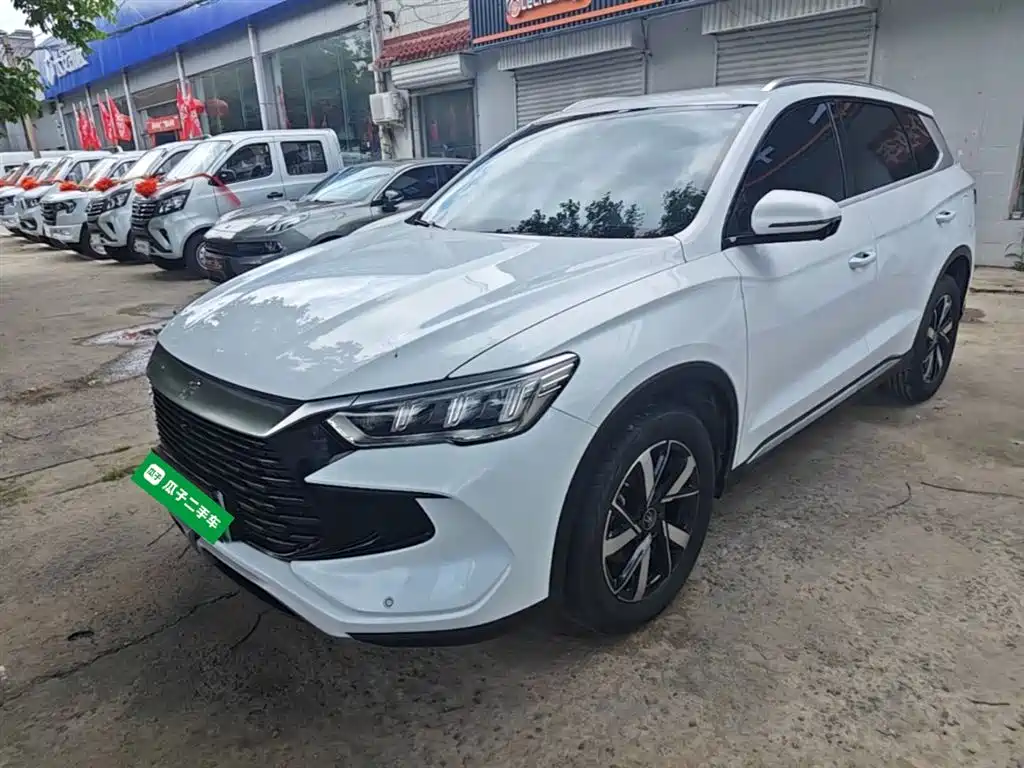 BYD Pro New Energy 2024