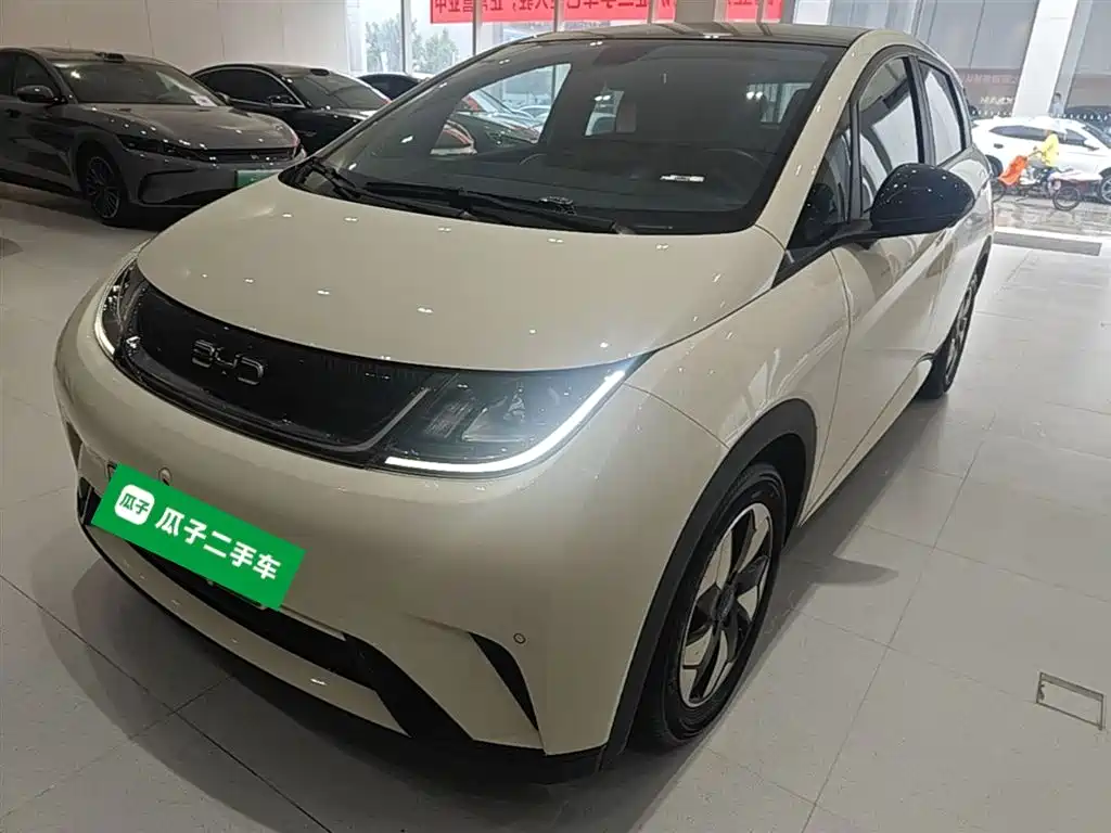 BYD Dolphin 2024