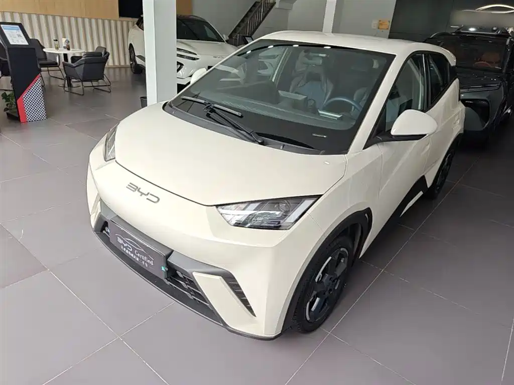 BYD Seagull 2024