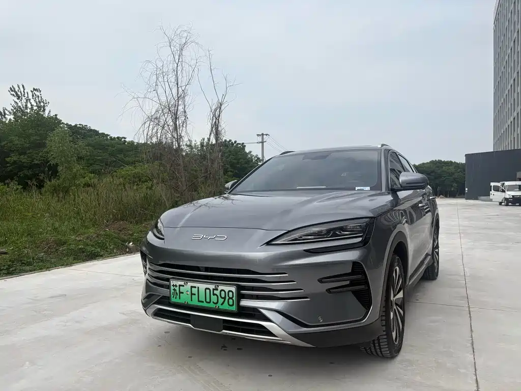 BYD PLUS New Energy 2024