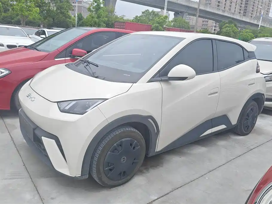 BYD Seagull 2024