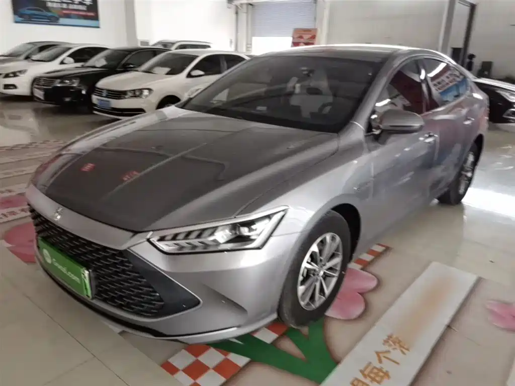 BYD Qin PLUS 2024