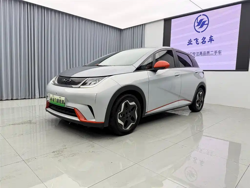 BYD Dolphin 2022