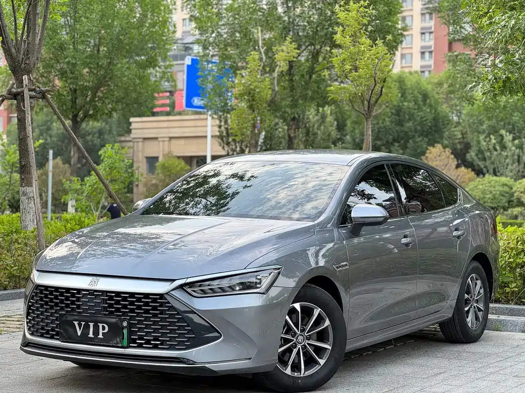 BYD Qin PLUS 2024