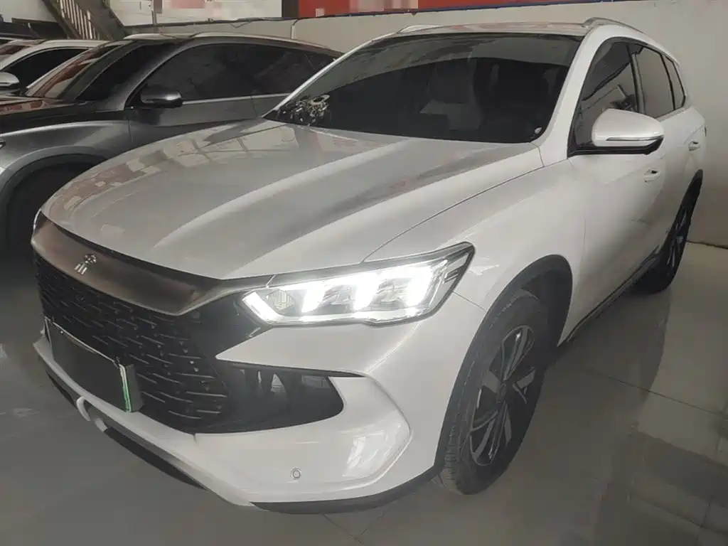 BYD Pro New Energy 2024