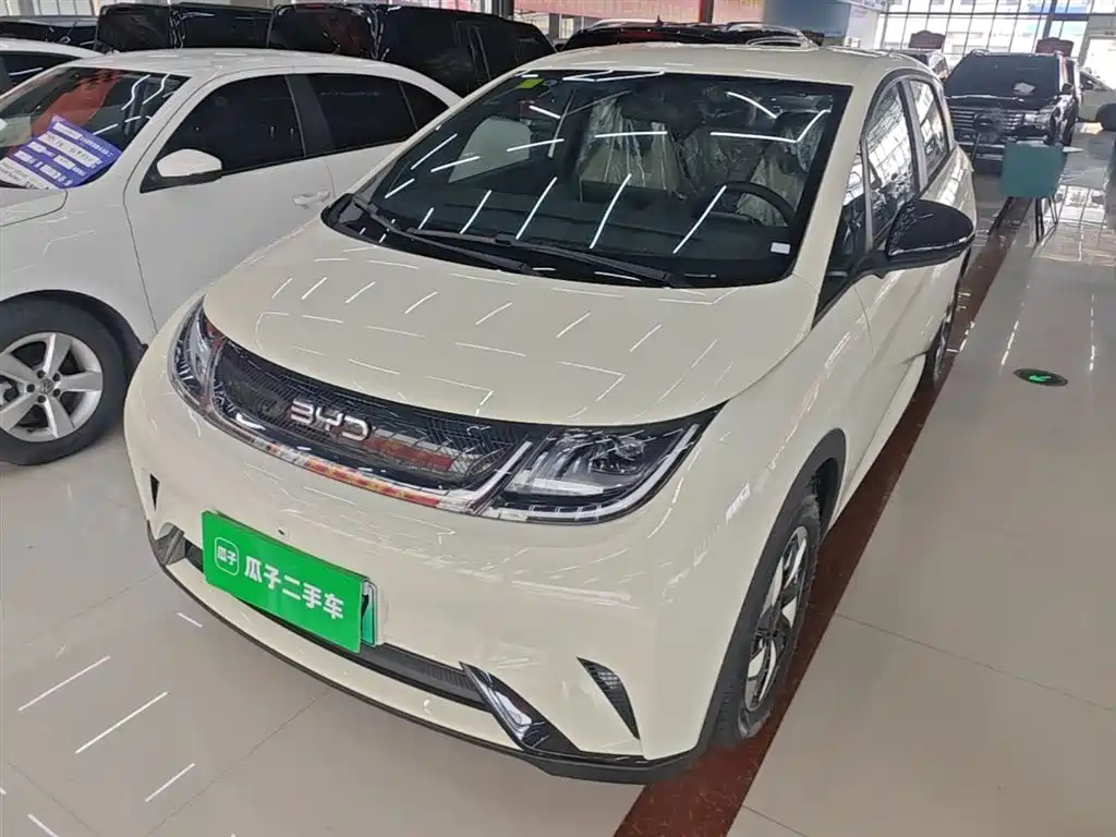 BYD Dolphin 2026