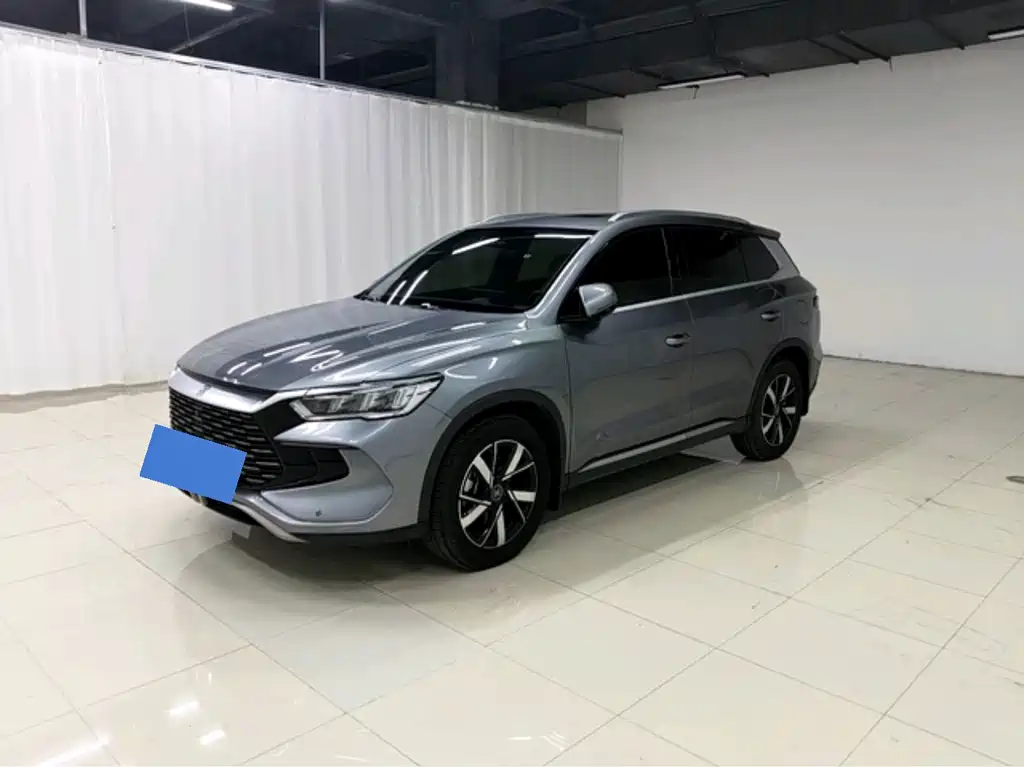 BYD Pro New Energy 2024